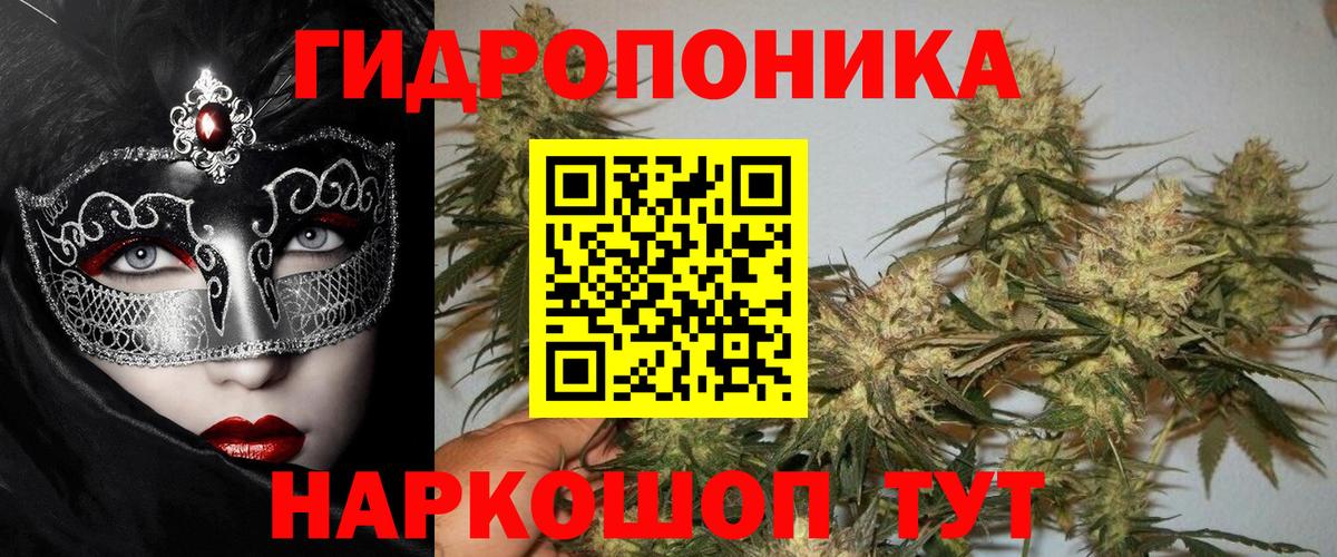 Бошки Шишки OG Kush Строитель